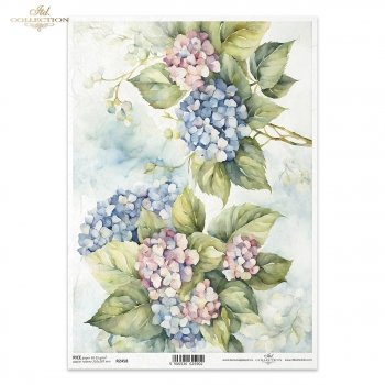 Rice paper R2458