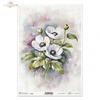 Rice paper R2468