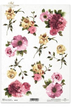 Rice paper R0102