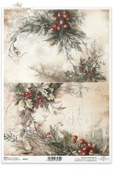 Rice paper R2677