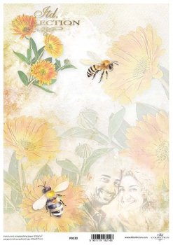 Translucent scrapbooking paper P0230