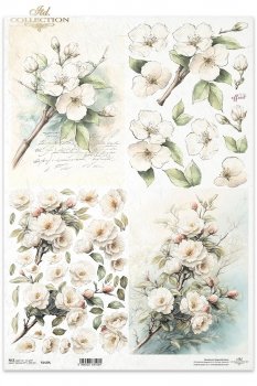 Rice paper R1429L