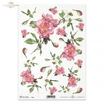 Rice paper R0428