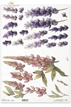 Rice paper R1534L