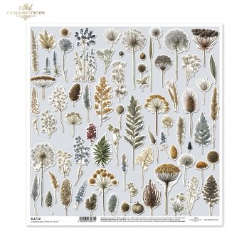 scrapbooking paper SL1712