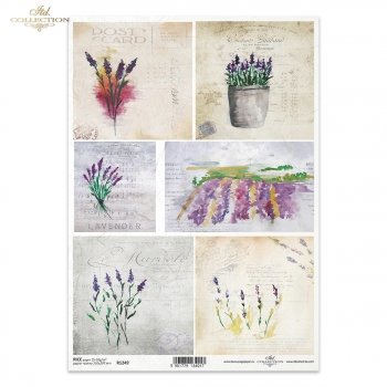 Rice paper R1249