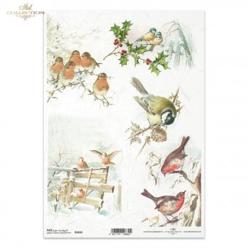 Rice paper R1019