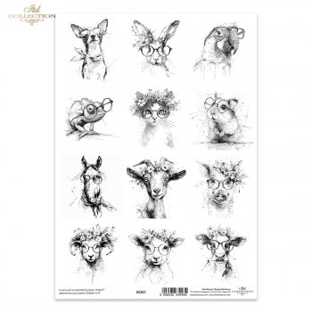 Translucent scrapbooking paper P0367