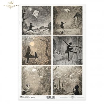 Rice paper R2539