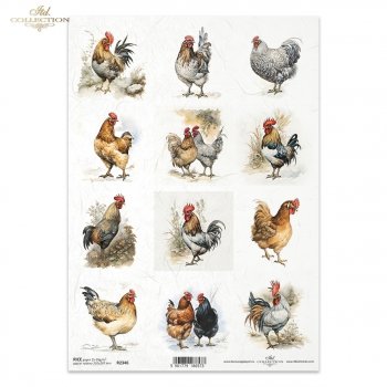 Papel de arroz para decoupage R2346