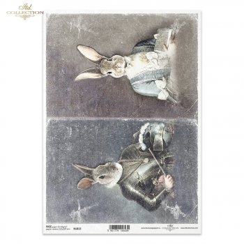 Papel de arroz para decoupage R1813