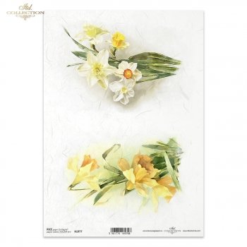 Papel de arroz para decoupage R1977