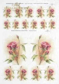 Papel Decoupage Arroz R1187 * flores, Vintage, subtítulos