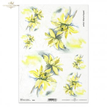 Papel de arroz para decoupage R0912
