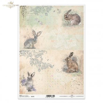 Papel de arroz para decoupage R1353