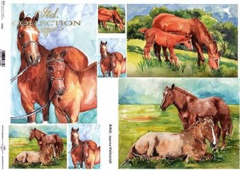 Papel de arroz decoupage A3 R0088L