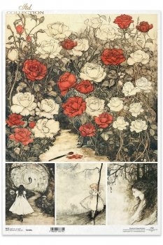 Papel de arroz decoupage A3 R1466L