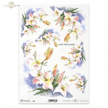 Papel de arroz para decoupage R0900
