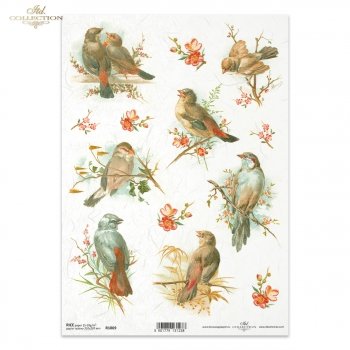 Papier ryżowy (HS code 48021000) R1069