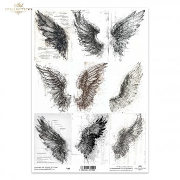 Folia przezroczysta (HS code 39261000) F193