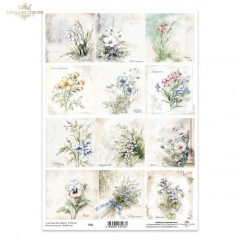 Folia przezroczysta (HS code 39261000) F181
