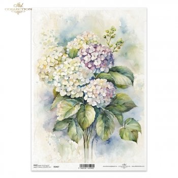 Papier ryżowy (HS code 48021000) R2467