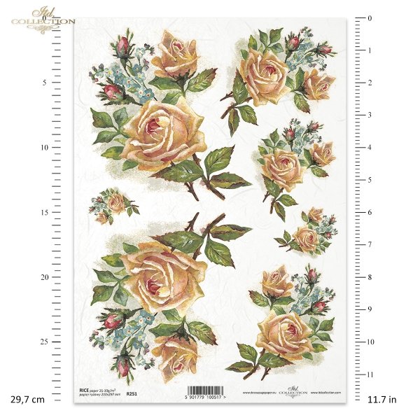 niezapominajki, róże, kwiaty, kwiatki, grafiki w stylu retro, R251