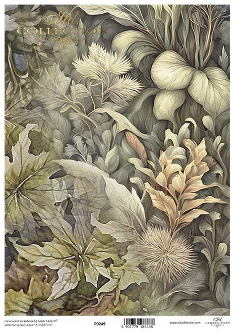 motywy roślinne, flora, liście, rośliny*Plant motifs, flora, leaves, plants*Pflanzenmotive, Flora, Blätter, Pflanzen*Motivos vegetales, flora, hojas, plantas