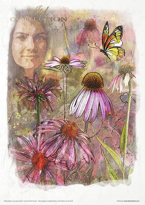 Seria - Herbalist - Zielarka*Series - Herbalist*Serie - Kräutermedizin*Serie - Hierbas