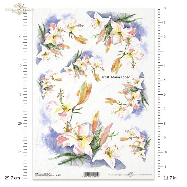 lilia, lilie, kwiat, ogród, łąka, wiosna, autorka grafiki Maria Kopeć, R900, lirio, lirios, flor, jardín, prado, primavera, Lilie, Lilien, Blume, Garten, Wiese, Frühling, lily, lilies, flower, garden, meadow, spring
