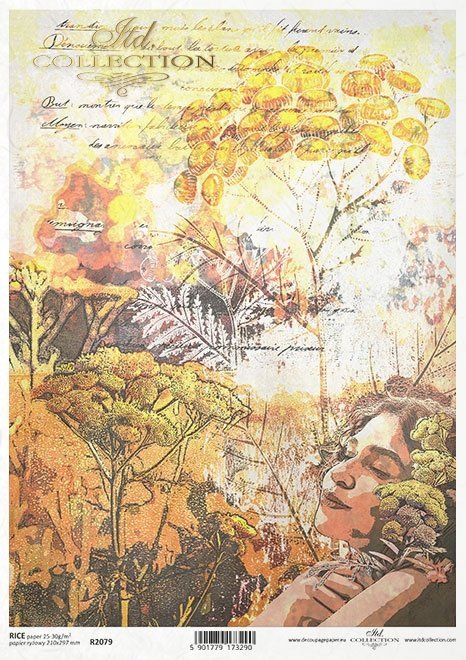  twarz kobiety, rośliny, wrotycz* woman's face, plants, tansy* Frauengesicht, Pflanzen,  Rainfarn* cara de mujer, plantas, tanaceto