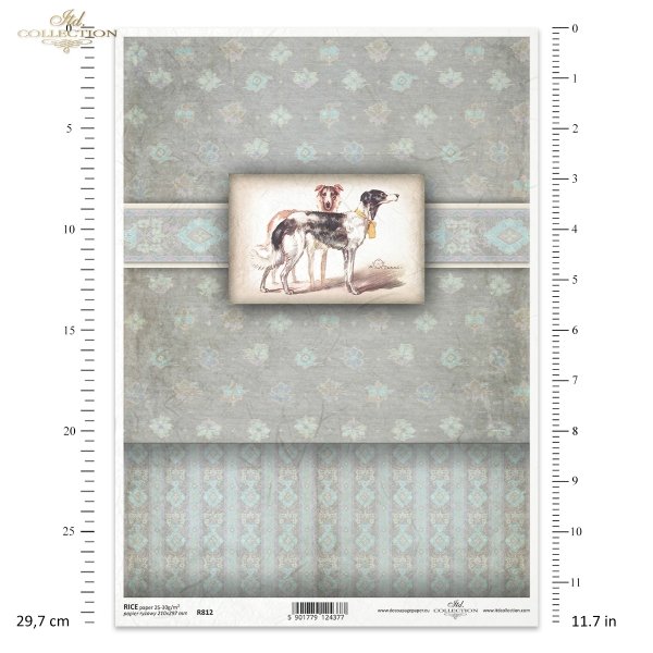 R812, pudełkowo, na pudełko, psy myśliwskie, pies, tapeta, tło, hunting dogs, dog, wallpaper, background, Jagdhunde, Hund, Tapete, Hintergrund, perros de caza, perro, papel pintado, fondo
