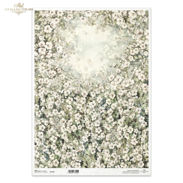 kwiaty flowers Blumen flores 