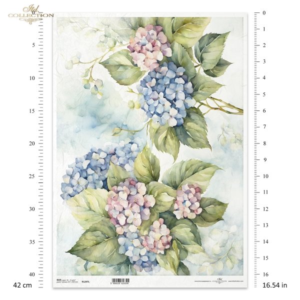 letnie kwiaty, bukiet kwiataów*Summer flowers, flower bouquet*Sommerblumen, Blumenstrauß*Flores de verano, ramo de flores 
