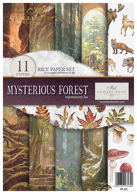 Mysterious forest - tajemniczy las * Mysterious forest * Mysteriöser Wald * Bosque misterioso