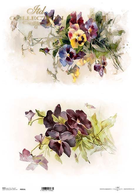 wiosenne kwiaty, bratki, fiołki*spring flowers, pansies, violets*Frühlingsblumen, Stiefmütterchen, Veilchen*flores de primavera, pensamientos, violetas