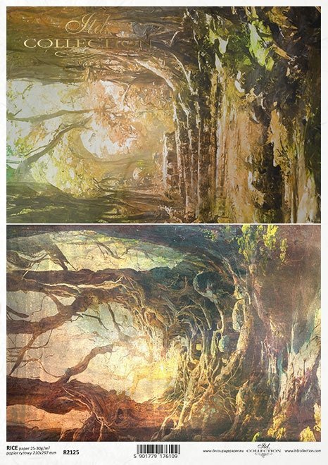 Seria - Mysterious forest - tajemniczy las, drzewa, lasy, rośliny*Series - Mysterious forest - trees, woods, plants*Serie - Mysteriöser Wald - geheimnisvoller Wald, Bäume, Wälder, Pflanzen*Serie - Bosque misterioso - árboles, bosques, plantas
