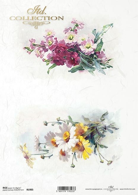kwiaty wiosenne, rumianek, lewkonia*spring flowers, camomile, levconia*Frühlingsblumen, Kamille, Levkonie*flores de primavera, manzanilla, levconia