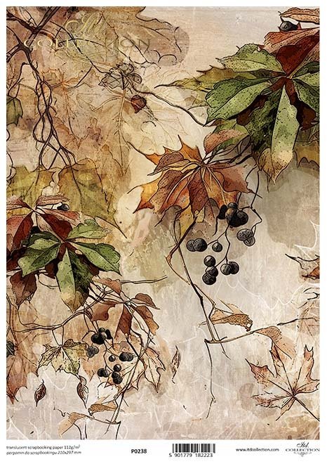 jesienne widoczki, rośliny, winobluszcz, jesień, liście*autumn views, plants, ivy, autumn, leaves*Herbstansichten, Pflanzen, Efeu, Herbst, Blätter*vistas de otoño, plantas, hiedra, otoño, hojas