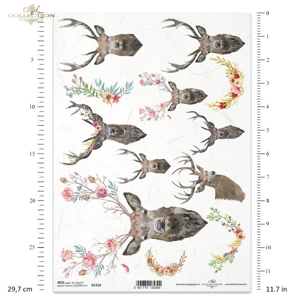 deer heads, deer antlers, stag, flowers, wild animals, hunting, Hirschköpfe, Geweihe, Hirschgeweihe, Hirsche, Rehe, Blumen, Wildtiere, Jagd, cabezas de ciervo, astas de ciervo, ciervos, flores, animales salvajes, caza