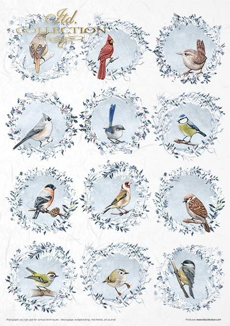 Seria Decorated with Frost*Series Decorated with Frost*Serie - Mit Frost verziert*Serie - Decorado con escarcha