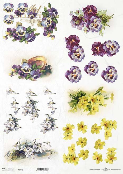 wiosenne kwiaty, przebiśniegi, bratki, żółta prymulka*spring flowers, snowdrops, pansies, yellow primulas*Frühlingsblumen, Schneeglöckchen, Stiefmütterchen, gelbe Schlüsselblumen*flores de primavera, campanillas de invierno, pensamientos, prímulas amarill