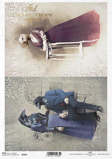zwierzęta retro, zwierzęta w strojach, zoomorfizm, vintage, gąska, kruki*retro animals, animals in costume, zoomorphism, vintage, Victorian, goose, ravens