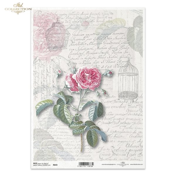 retro, vintage, list, ręczne pismo, róża, kwiat, płatki kwiatów, liście, klatka dla ptaków, R643, letter, handwriting, rose, flower, flower petals, leaves, birdcage, Brief, Handschrift, Rose, Blume, Blütenblätter, Blätter, Vogelkäfig, carta, escritura, ro