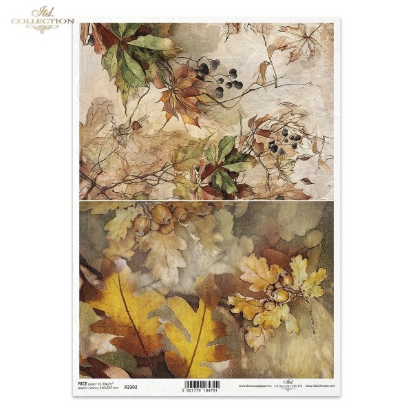 jesień, jesienne widoczki, rośliny, winobluszcz, dąb, liście dębu, żołędzie, Autumn Love Story, autumn, autumn views, plants, grapevine, oak, oak leaves, acorns, Herbst, Herbstansichten, Pflanzen, Weinrebe, Eiche, Eichenblätter, Eicheln