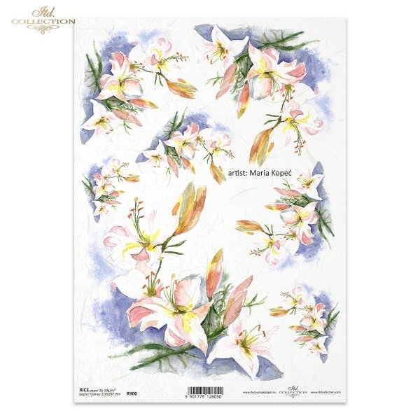 lilia, lilie, kwiat, ogród, łąka, wiosna, autorka grafiki Maria Kopeć, R900, lirio, lirios, flor, jardín, prado, primavera, Lilie, Lilien, Blume, Garten, Wiese, Frühling, lily, lilies, flower, garden, meadow, spring