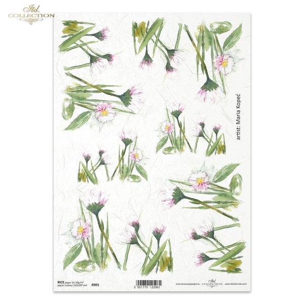 stokrotka, stokrotki, kwiat, ogród, łąka, wiosna, autorka grafiki Maria Kopeć, R901, daisy, daisies, flower, garden, meadow, spring, Gänseblümchen, Blume, Garten, Wiese, Frühling, margaritas, flor, jardín, prado, primavera