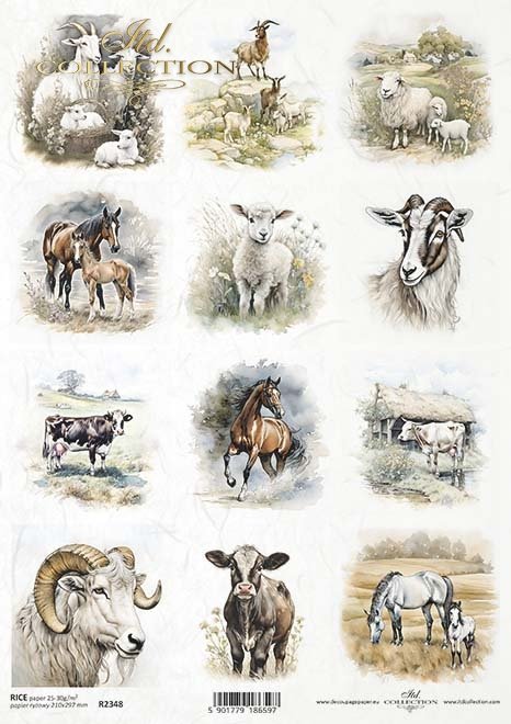 seria Early Spring - owce, konie, owieczki, kozy*sheep, horses, sheep, goats*Schafe, Pferde, Schafe, Ziegen*ovejas, caballos, ovejas, cabras