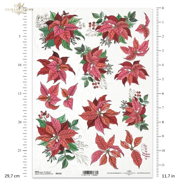 poinsecja, gwiazda betlejemska, kwiat, klimat Bożego Narodzenia, poinsettia, star of Bethlehem, flower, Christmas spirit, Weihnachtsstern, Stern von Bethlehem, Blume, Weihnachtsstimmung, poinsettia, estrella de Belén, flor