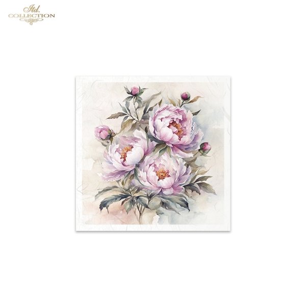 letnie kwiaty, bukiet kwiatów*Summer flowers, flower bouquet*Sommerblumen, Blumenstrauß*Flores de verano, ramo de flores 